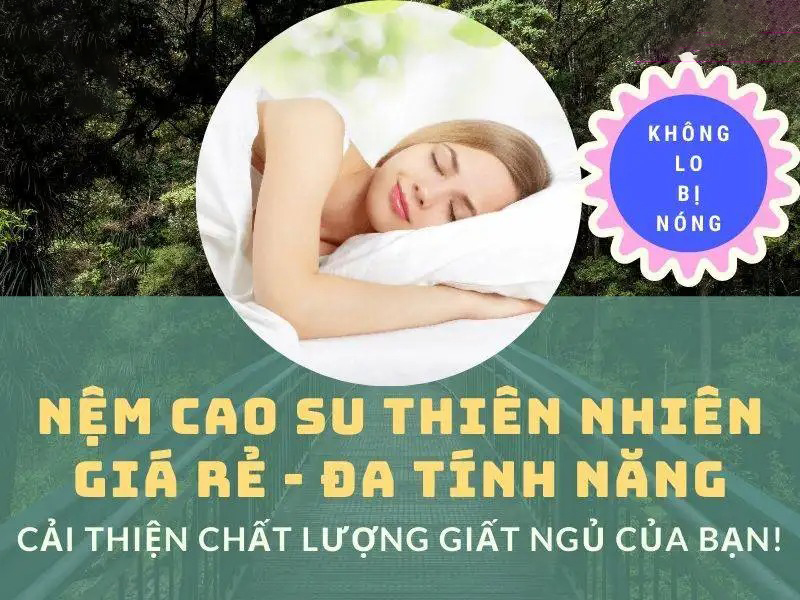 Bán Sỉ Các Loại Nệm Giá Rẻ – Nệm Chất Lượng Cao Tại Hưng Liên - Ảnh 4