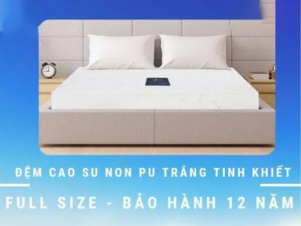 Bán Sỉ Các Loại Nệm Giá Rẻ – Nệm Chất Lượng Cao Tại Hưng Liên - Ảnh 11