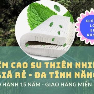 Nệm Cao Su Thiên Nhiên Giá Rẻ – Đa Tính Năng Chính Hãng Hưng Liên