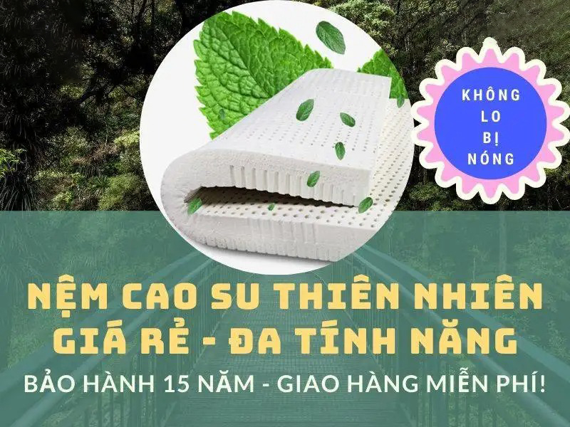 Bán Sỉ Các Loại Nệm Giá Rẻ – Nệm Chất Lượng Cao Tại Hưng Liên - Ảnh 5